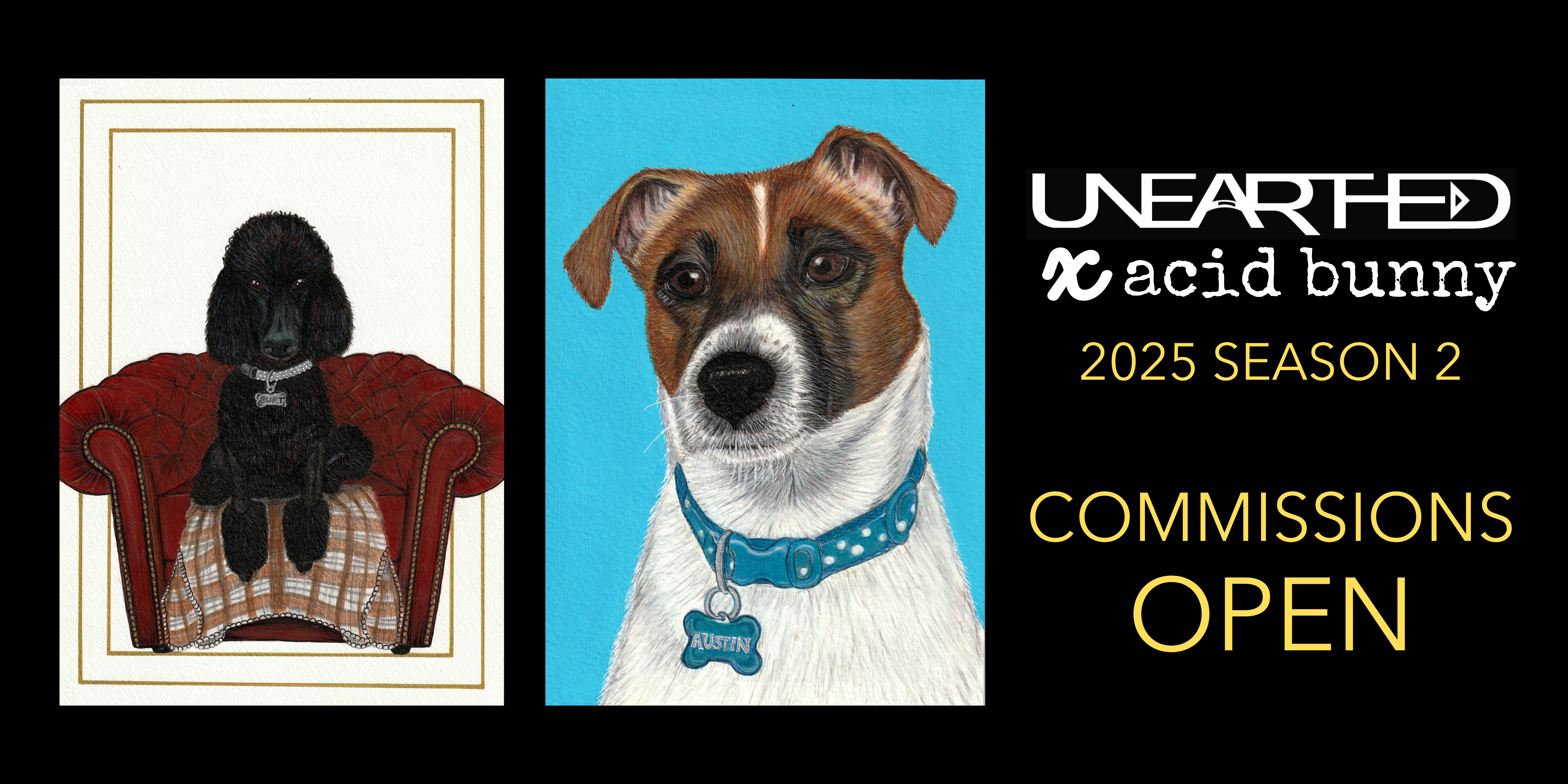 COMMISSIONS OPEN FOR 2025 SEASON 2 - BOOK NOW!